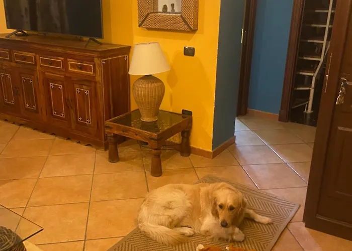 Nunziatella * Afragola